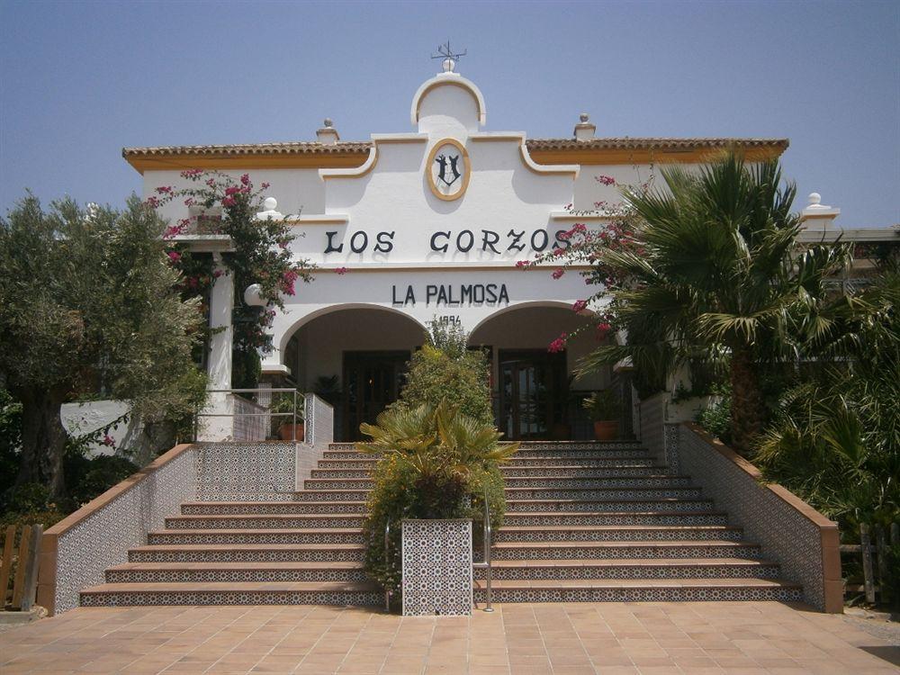 Hotel La Palmosa Alcalá de los Gazules Exteriér fotografie