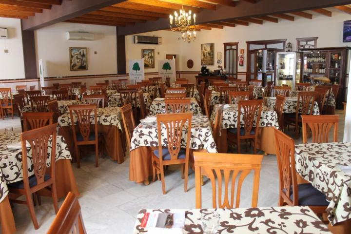 Hotel La Palmosa Alcalá de los Gazules Exteriér fotografie